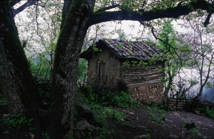 Mi rancho