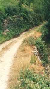 Camino a San Fernando
